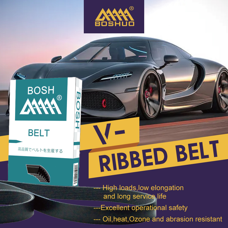  Overview of Drive Belt